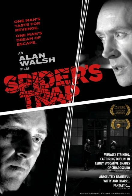 Постер Spiders Trap