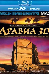 Аравия 3D 2010 постер
