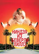 Ниндзя из Беверли-Хиллз 1997 постер