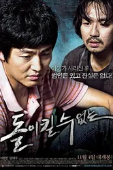 Непоправимое 2010 постер