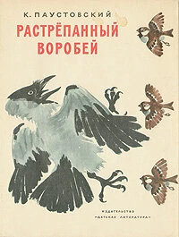 Постер Растрёпанный воробей 1967