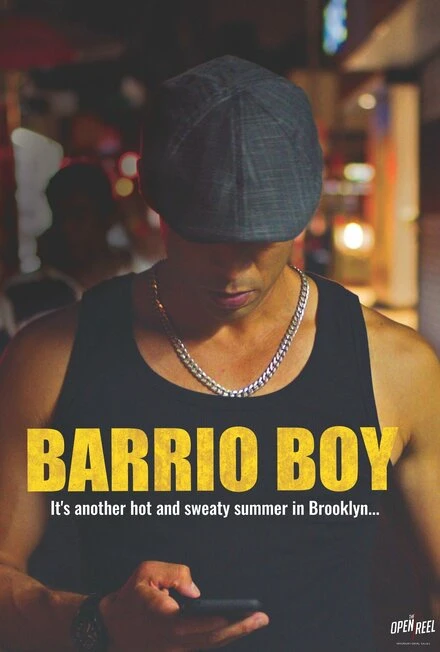 Постер Barrio Boy
