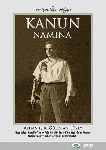 Постер Vurun Kahpeye
