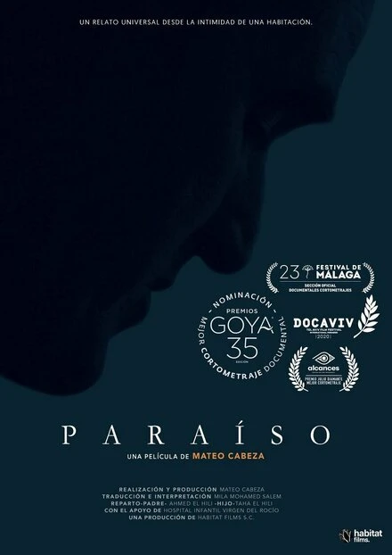 Постер Paraíso 2020