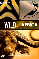 BBC: Дикая Африка 2001 постер
