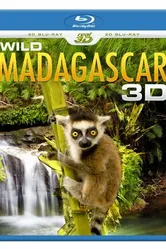 Wild Madagascar 3D постер