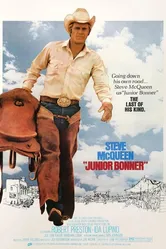 Младший Боннер 1972 постер