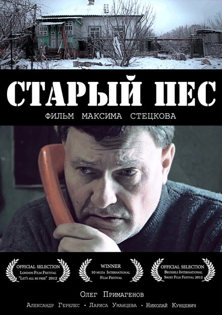Постер Старый пёс 2012