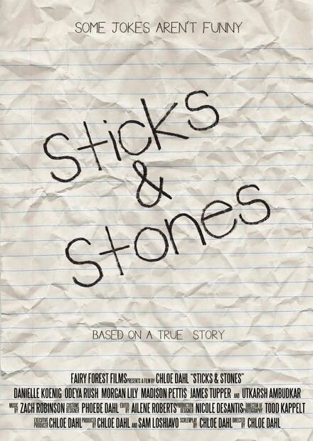 Постер Sticks & Stones 2013