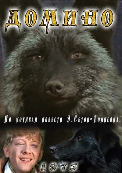 Постер Домино 1973