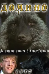 Домино 1973 постер