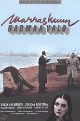 Серый свет ноября 1993 постер