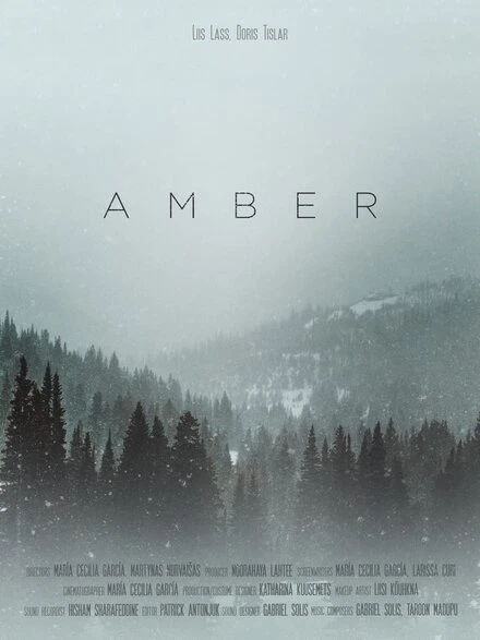Постер Amber 2020, Эстония