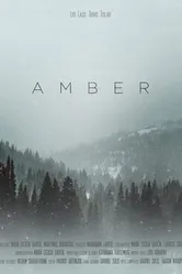 Amber 2020, Эстония постер