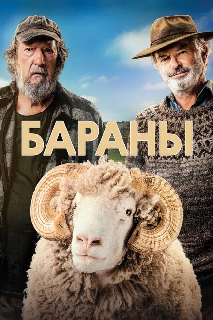 Постер Бараны 2020