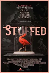 Stuffed 2019 постер