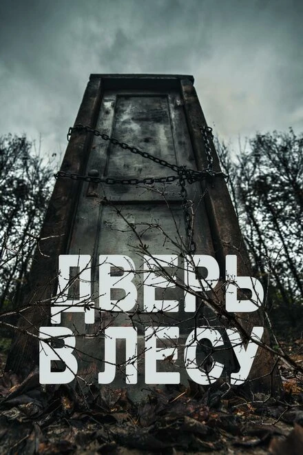 Постер Дверь в лесу 2019