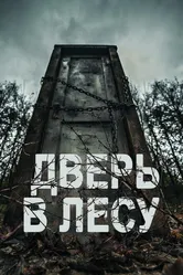 Дверь в лесу 2019 постер