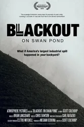 Blackout: On Swan Pond постер