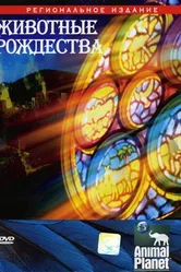 Животные Рождества 2002 постер