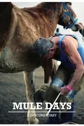 Mule Days постер