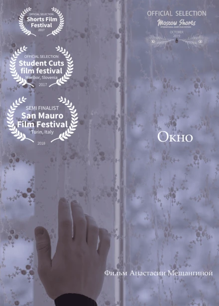 Постер Окно 2016