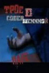 Трое в совершенной паре 2005 постер