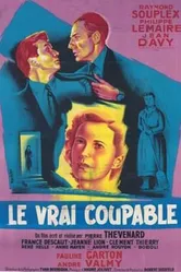 Le vrai coupable постер