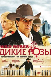 Дикие розы 2009 постер