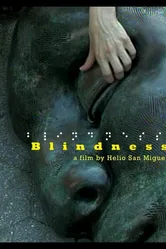 Blindness 2007 постер