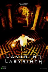 Лабиринт 2002 постер