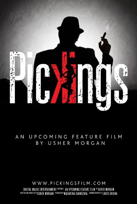 Постер Pickings