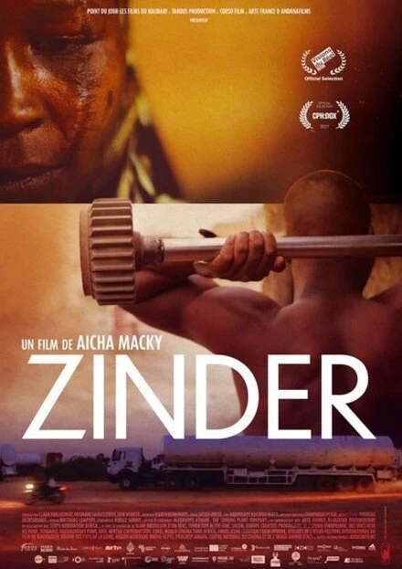 Постер Zinder