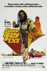Возвращение Суперфлая 1973 постер