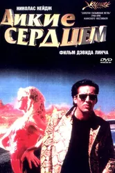 Дикие сердцем 1990 постер