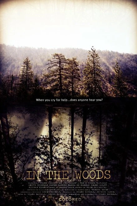 Постер In the Woods 2010