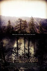 In the Woods 2010 постер