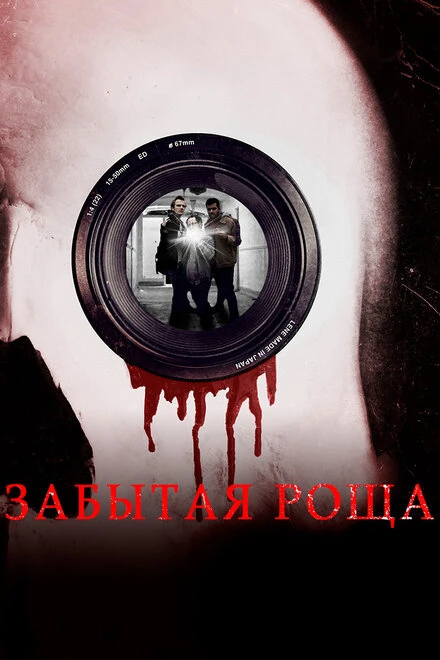 Постер Забытая роща 2014
