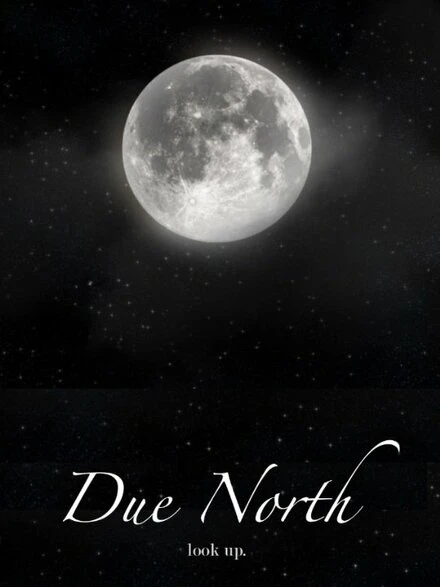 Постер Due North