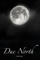 Due North постер