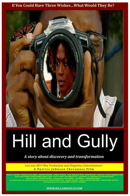 Постер Hill 'n' Gully
