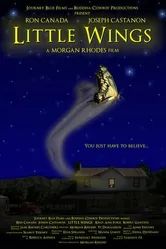 Маленькие крылья 2007 постер