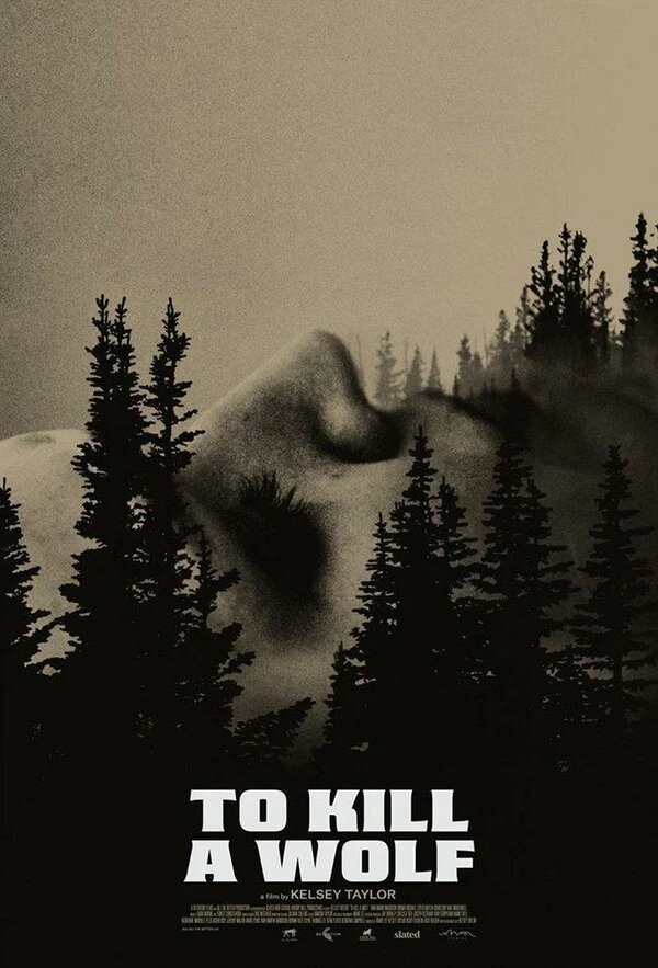Постер To Kill a Wolf