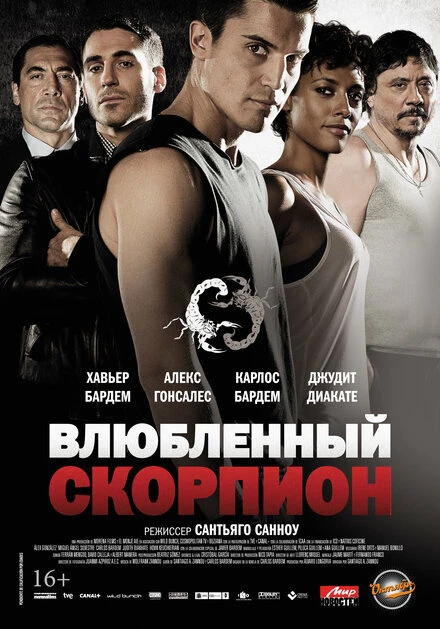 Постер Влюбленный скорпион 2013