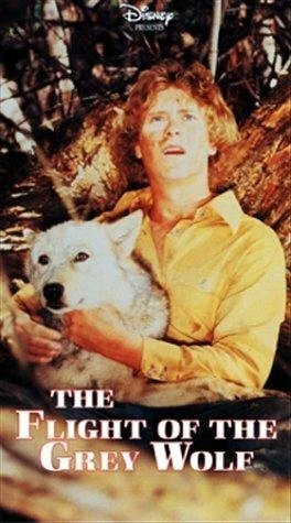 Постер The Flight of the Grey Wolf