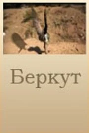 Постер Беркут 2006