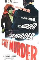 Cry Murder постер