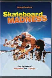 Skateboard Madness постер
