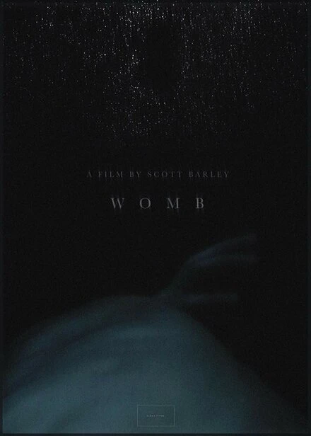 Постер Womb 2017