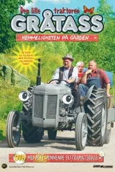 Маленький серый Ферджи 2004 постер